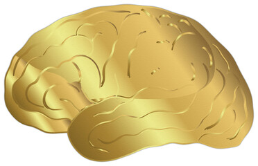 WGolden Brain Illustration