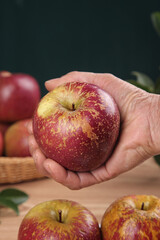 Fresh Yanyuan Apple from Daliangshan Held in Hands - Natural Organic Fruit