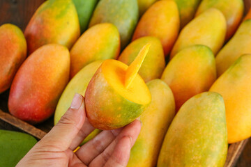 Fresh Ripe Mango Fruits at Market Display with Hand Holding Cut Sweet Tropical Fruit