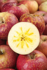 Fresh Yanyuan Ugly Apples from Daliangshan Mountains Cross-Section Display