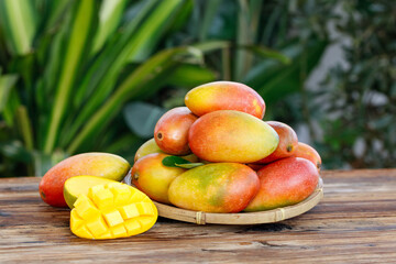 Fresh Ripe Mangoes in Bamboo Basket on Wooden Table with Tropical Garden Background