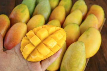 Fresh Ripe Mango Cubes in Hand with Tropical Fruit Collection Background