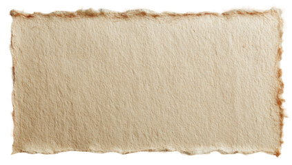 A tan, rectangular piece of paper with ragged edges