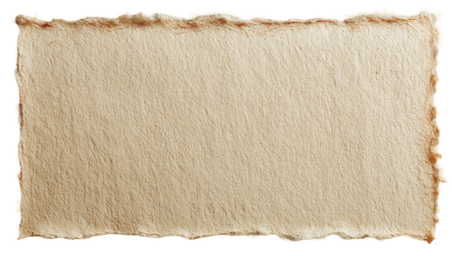 A tan, rectangular piece of paper with ragged edges
