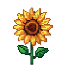 Pixel art illustration of a bright yellow sunflower with green leaves and a brown center, isolated on a white background, 8-bit retro style.