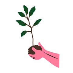 Hand Holding Small Tree Sapling Sustainable Reforestation Concept