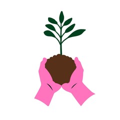 Hands Holding Young Plant with Soil Eco Friendly Growth Concept
