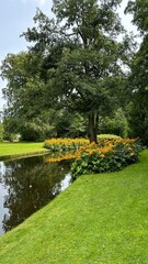 Obraz premium pond in the park