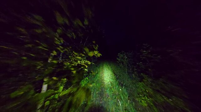 POV of the person lost in the dark woods at night. Walking in scary forest with flashlight. Lost and looking for help in mysterious forest. Fear of getting lost in the deep dark surrounded by trees.