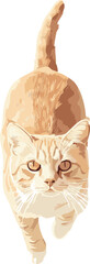 vector illustration of a top view cat looking up