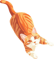 vector illustration of a top view cat playing