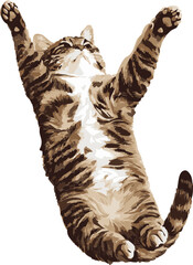 vector illustration of a top view cat sleeping