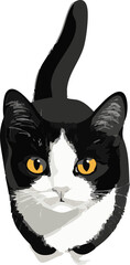 vector illustration of a top view cat