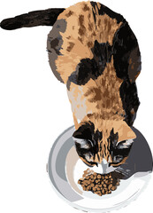 vector illustration of a top view cat eating cat food