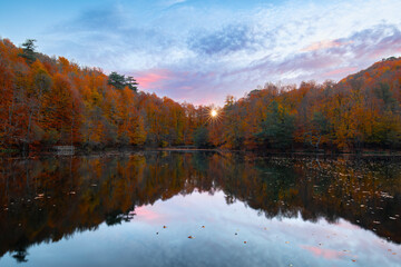 Image of colorful leaves falling down from tree branches in autumn. (Yedigöller). Yedigoller National Park, Bolu, Istanbul. Turkey.	