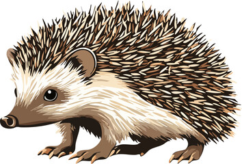 vector illustration of a hedgehog