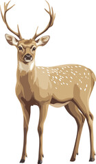 vector illustration of a deer standing