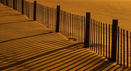 Wooden fence lines a golden sand dune, long shadows stretching