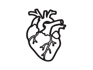 Minimalist human heart icon illustration in creative line art design