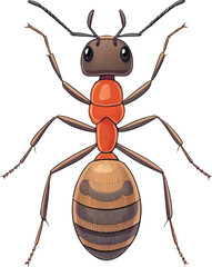 Cartoon Ant Insect Vector Illustration