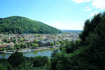 Panoramic view of Heidelberg with river and forested hill