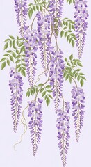Wisteria Flowers Hanging Down Delicate Purple Blossoms Spring Floral Branch Illustration