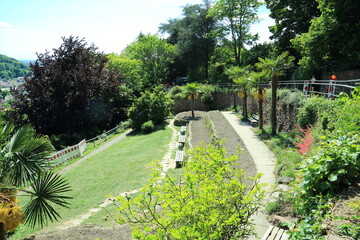 Urban terraced garden with Trachycarpus fortunei palm trees