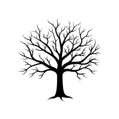 Lone tree silhouette against a dramatic sky