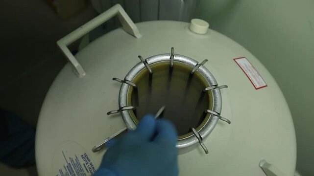 A close-up view of a person in blue gloves carefully handling samples within a cryogenic storage unit, likely for fertility preservation or biological research.