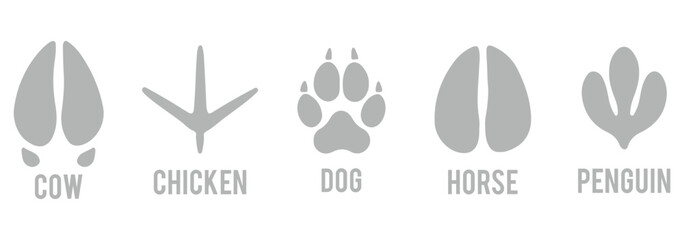 Set of animals footprint. Hand drawn various animal feet paws or footprints isolated on white background. Black silhouettes collection of animal tracks in minimal style. various animal footprints. eps