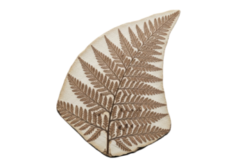 A remarkably preserved, pale brown petrified fossilized fern frond with intricate skeletal imprints and detailed veins, against a transparent studio background with copy space, concept of ancient