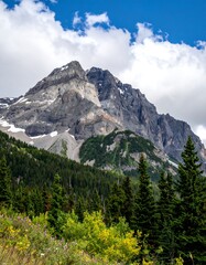 Fototapeta premium Mountain peak rises above a forest