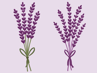 Two bouquets of purple lavender flowers tied with ribbons