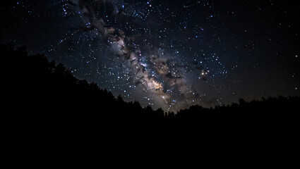Fototapeta premium Vast Milky Way galaxy arcs majestically over dark forest silhouette under countless twinkling stars