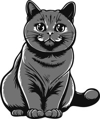 Adorable domestic cat cute fluffy feline pet portrait showing calm, playful, and curious expression