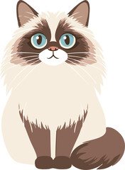 Adorable domestic cat cute fluffy feline pet portrait showing calm, playful, and curious expression