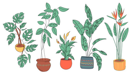Set of tropical houseplants. Bird of paradise, banana palm, ficus, monstera and peace lily isolated on white background. Vector illustrations in flat style drawn by hand.