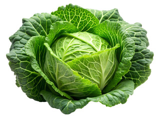 Fototapeta premium A fresh green cabbage with detailed leaves, isolated on transparent background