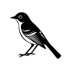 Red Eyed Vireo Bird Design