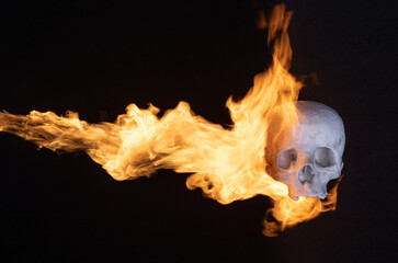 burning skull isolated on black background