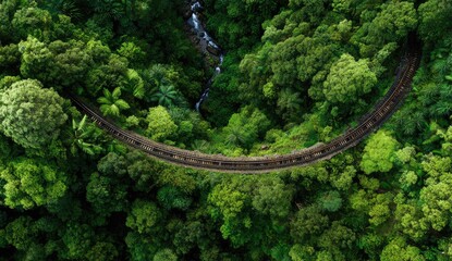 High-angle view of a curving train track winding through lush, green rainforest. A small waterfall is visible near the track's bend