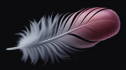 Obraz premium A single delicate pink feather with a metallic sheen rests against a stark black background, showcasing its intricate details and soft texture