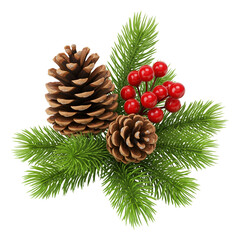 Fototapeta premium christmas decoration with cones