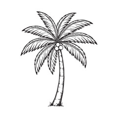 Fototapeta premium Palm Tree Silhouette Icon