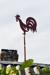rooster on the roof of the house