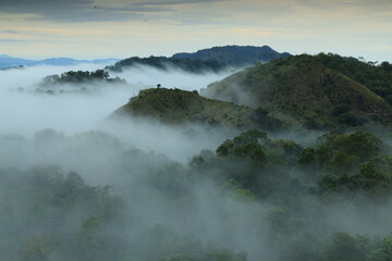 Beautiful morning landscape with mountains and sea of mist at Doi Hua Mod, Umphang Wildlife Sanctuary, Umphang district, Tak Province, Thailand