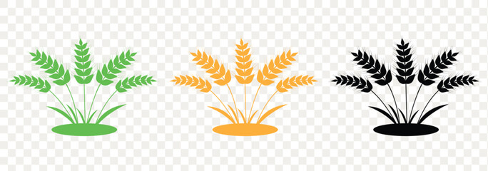 Wheat ears icon vector, agriculture wheat vector icon. Ear of Wheat, Barley or Rye. Vector icon isolated on white background. eps 10