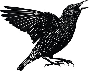 Detailed Silhouette of Singing Bird with Spread Wings – Vintage Style Vector Illustration for Nature,Detailed 