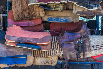horse saddles