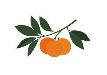 Oranges on a branch with leaves citrus fruit
